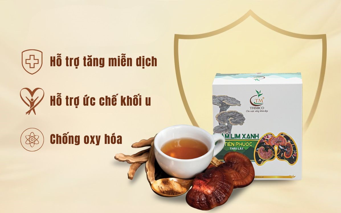 nấm lim xanh chữa ung thư